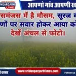 WhatsApp Image 2025-01-05 at 10.46.44
