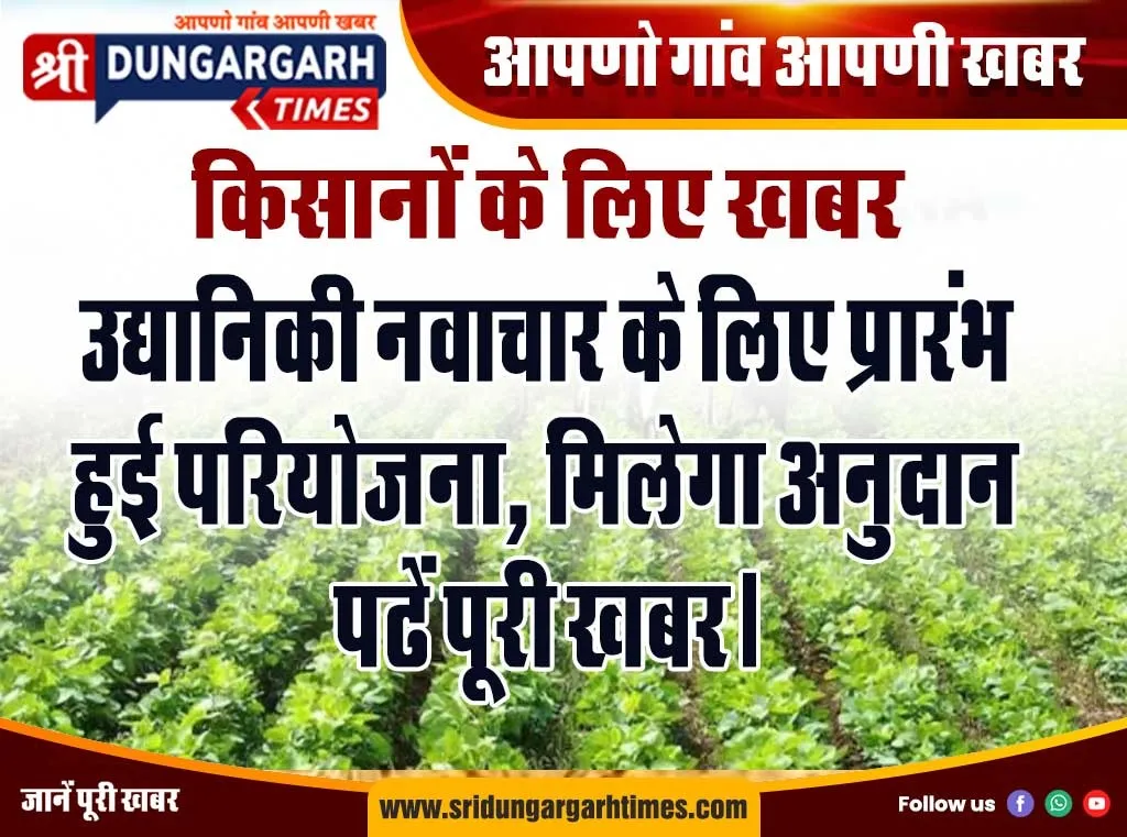 WhatsApp Image 2025-01-20 at 17.17.07