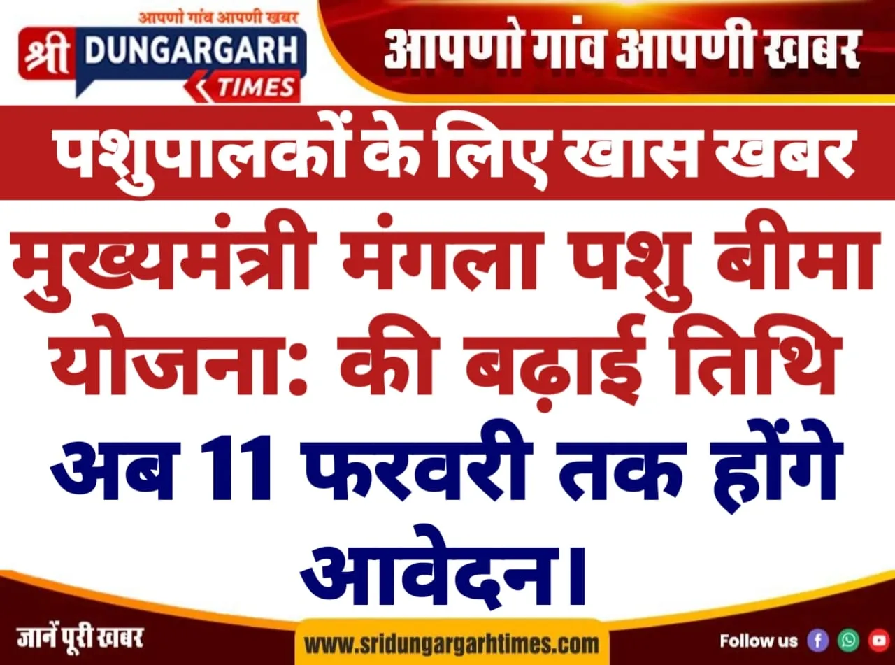 WhatsApp Image 2025-02-02 at 19.13.35