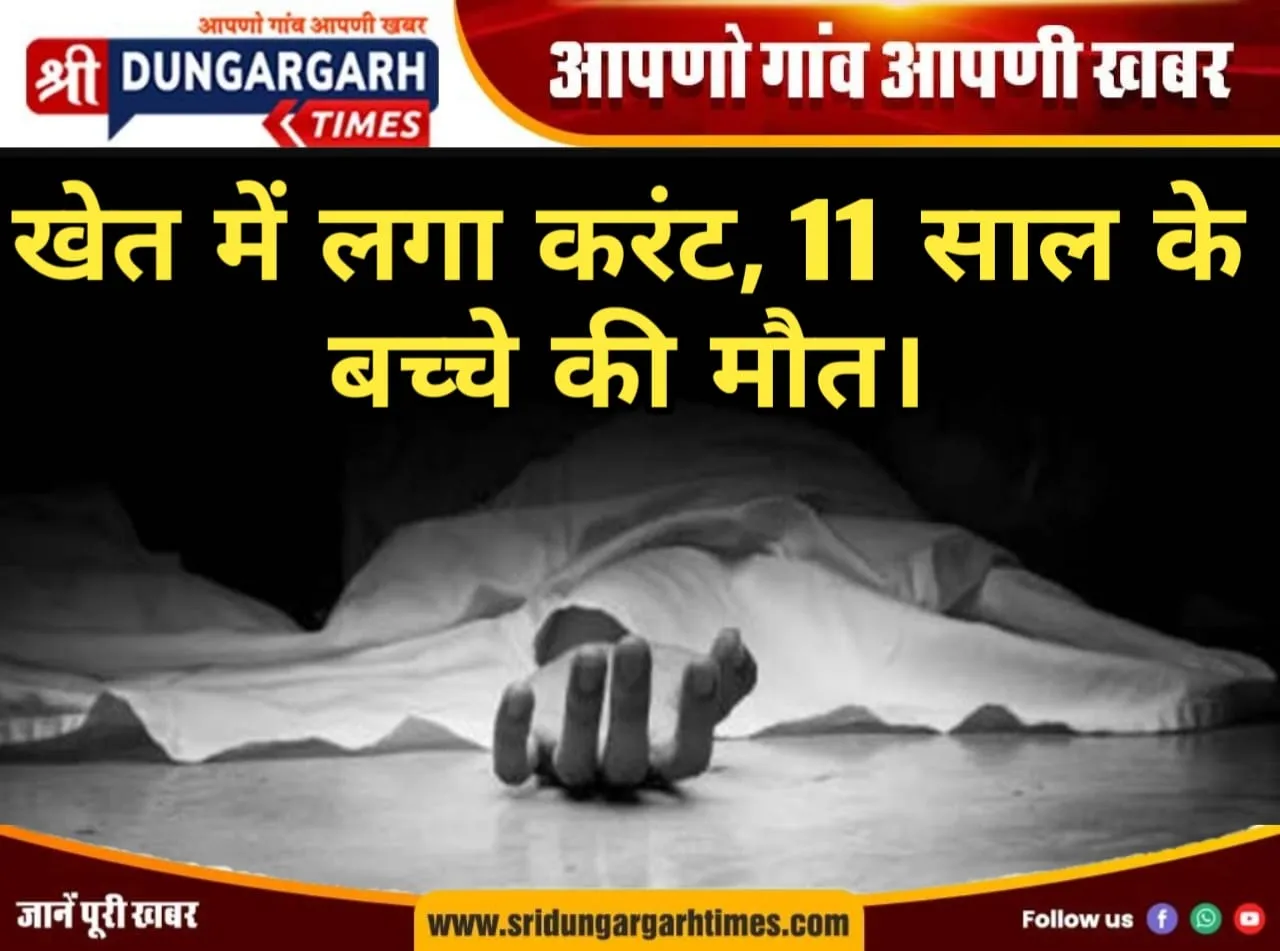 WhatsApp Image 2025-06-24 at 19.37.21
