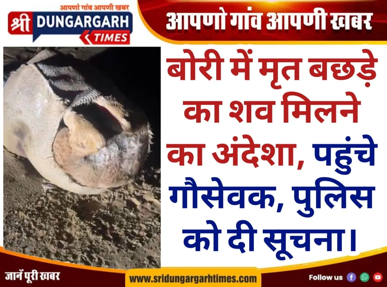 WhatsApp Image 2025-07-15 at 22.09.08