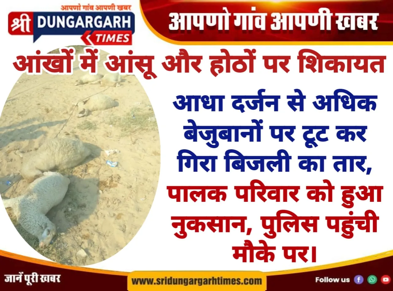 WhatsApp Image 2025-08-18 at 09.25.30