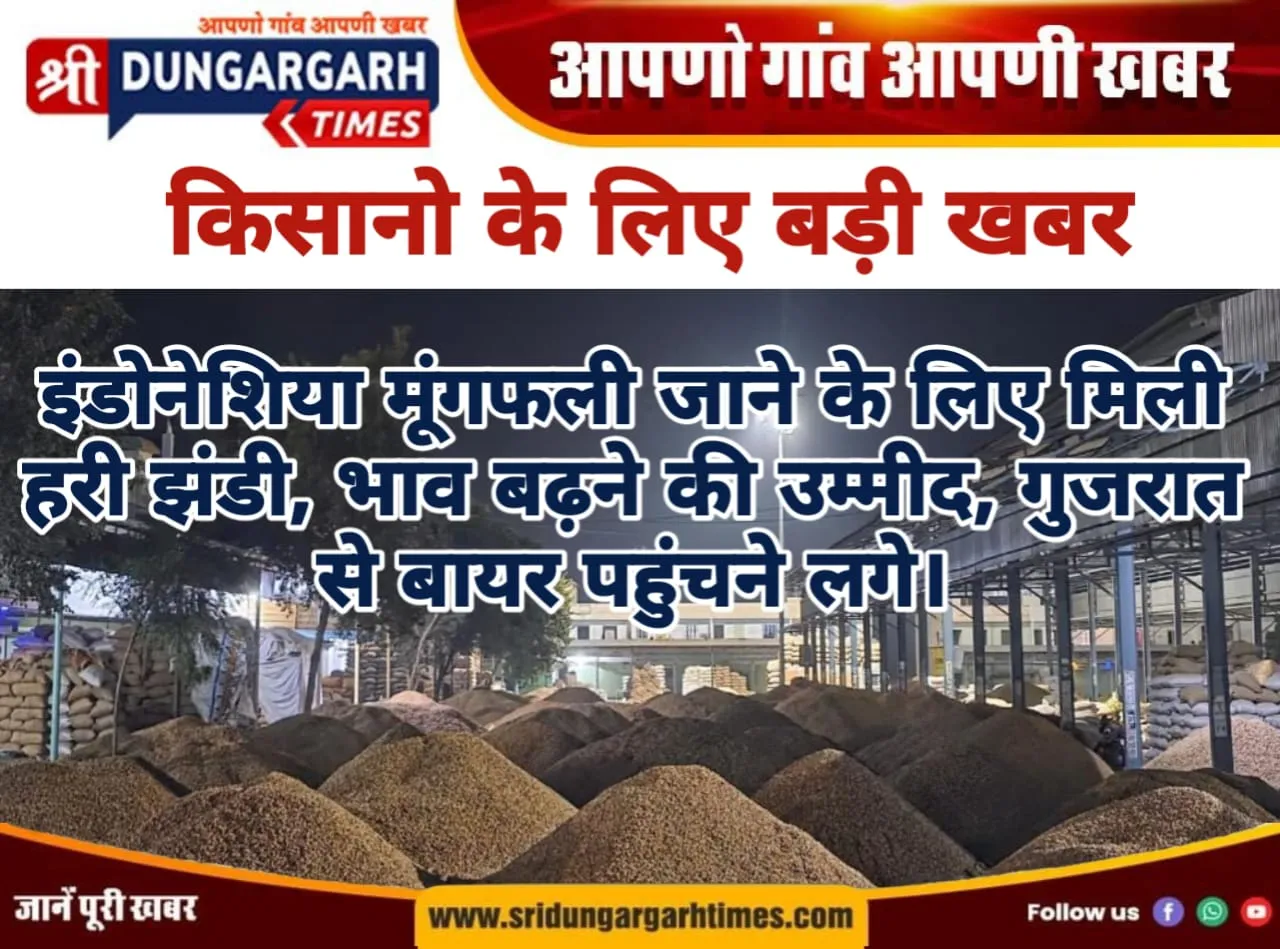 WhatsApp Image 2025-11-16 at 16.36.38