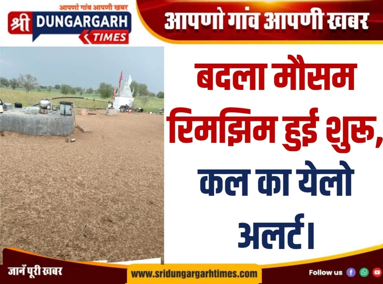 WhatsApp Image 2026-02-17 at 18.16.46