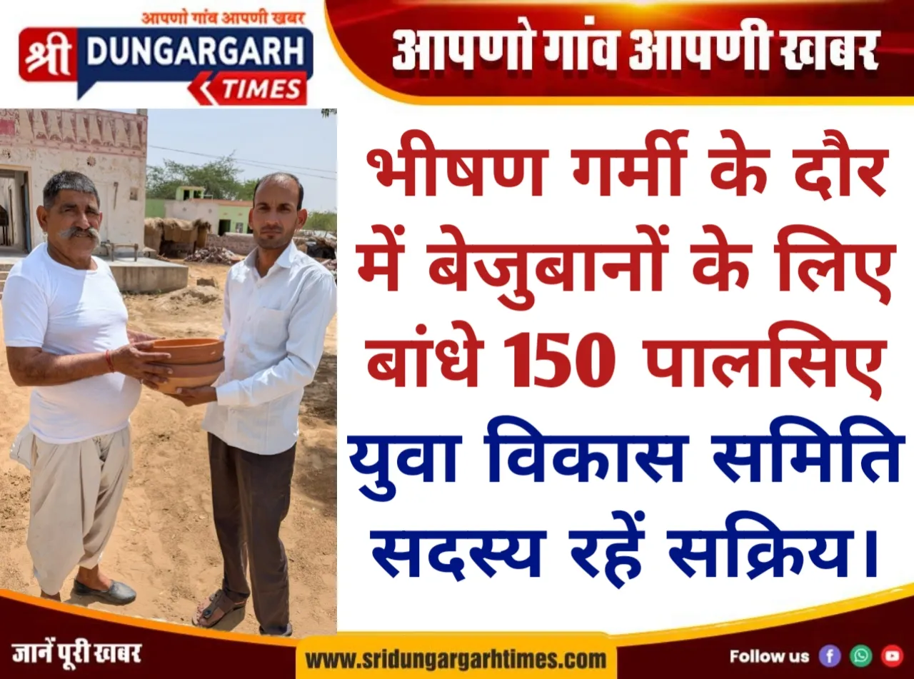 WhatsApp Image 2026-05-03 at 13.04.34