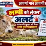 WhatsApp Image 2026-09-12 at 09.30.20