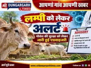 WhatsApp Image 2026-09-12 at 09.30.20